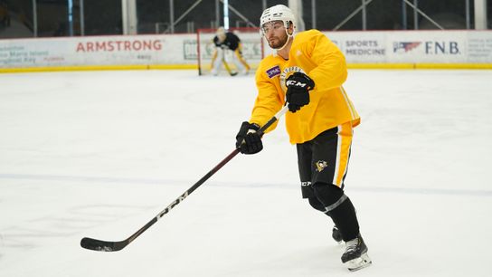 Friedman: Pittsburgh 'where I wanted to be' taken in Cranberry, Pa. (Penguins)